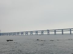 -星海湾跨海大桥