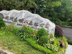 -东明山森林公园