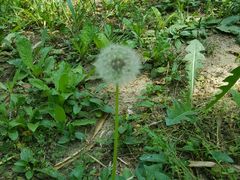 -慈铭体检(世纪城分院)