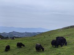 -灵山