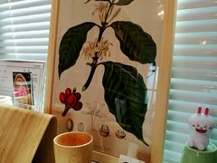 -COFFELIZ COFFEE