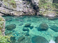 -石台牯牛降景区