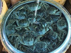 -江杨农产品批发市场