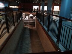 -淮安市博物馆