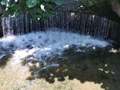 -荔枝公园(福田区)