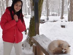 -宫城藏王狐狸村