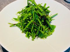 油鸡枞拌辣木苗-马旺子·川小馆