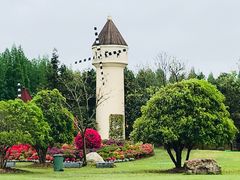 -崇明东平国家森林公园烧烤房车露营地