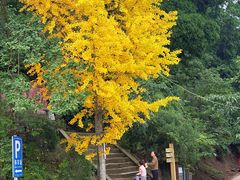 -金堂县云顶石城风景区