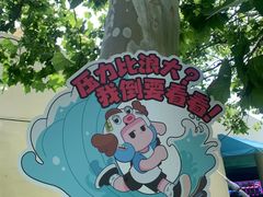 -秦皇岛乐岛海洋王国