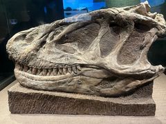 -自贡恐龙博物馆