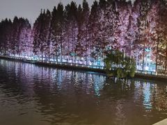 -运河游船(武林门码头)