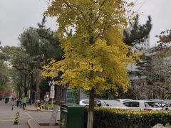 -北京邮电大学