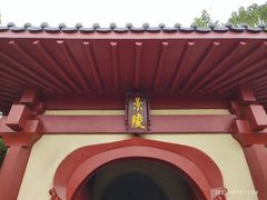 -洛阳古墓博物馆