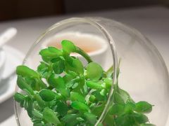 -码头见·潮汕菜(领展中心城店)
