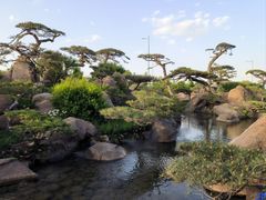 -罗红摄影艺术馆