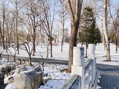 -东升八家郊野公园