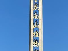 -南山植物园