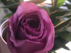 -昆明国际花卉拍卖交易中心