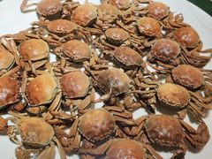 螃蟹-东方红海鲜百汇(国际大厦店)
