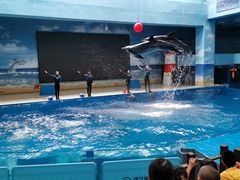 -锦艺城海洋馆