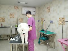 -宠颐生宠物医院·骨外科·犬猫全科诊疗中心(池州店)