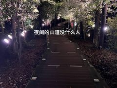 -云碧峰国家森林公园