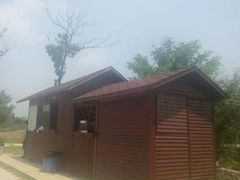 -瑶湖郊野森林公园