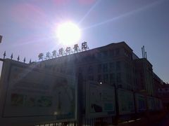 -北京高博博仁医院