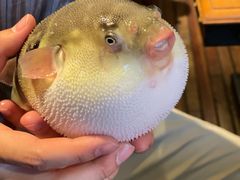 -永安鱼庄·镇江菜(丁卯店)