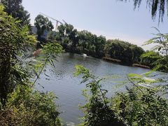 -亲兄弟真人CS团建拓展基地