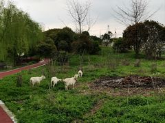 -太阳岛旅游度假区