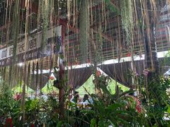 -万兴启丰椰子文化园餐厅