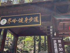 -老界岭旅游度假区