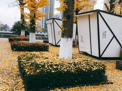 -百林公园-两江幸福广场