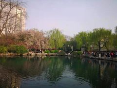 -老牌坊鲁菜名店(宽厚里店)