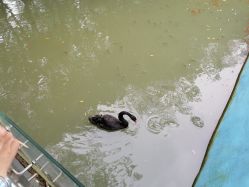 -珍珠泉水上世界