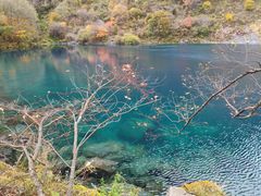 -叠溪松坪沟景区