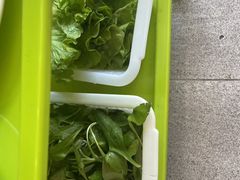 -正能量脆肉鲩火锅