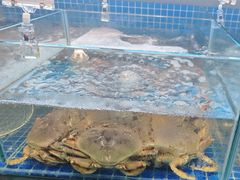 -七欣天香辣蟹火锅(苏州东大街店)