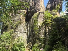 -汤旺河林海奇石景区