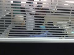 -天津市第三中心医院