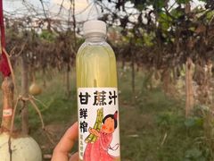 -汉长安城未央宫国家考古遗址公园