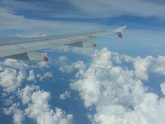 -新加坡航空公司(ION)