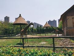 -南昌动物园