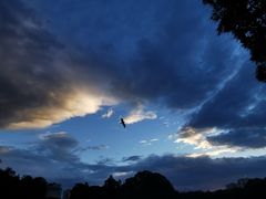 -翠湖宾馆·中餐厅