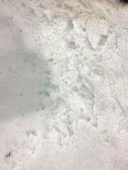 点击看大图 -Mr·Kuma酷么先生雪之乐园