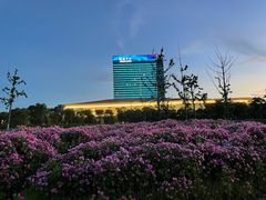 -春花秋色城市公园