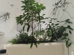 -大树餐厅(红旗街万达店)