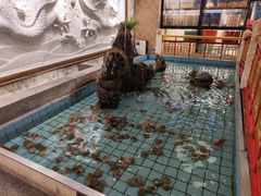 -良友·海鲜青岛菜(五四广场店)